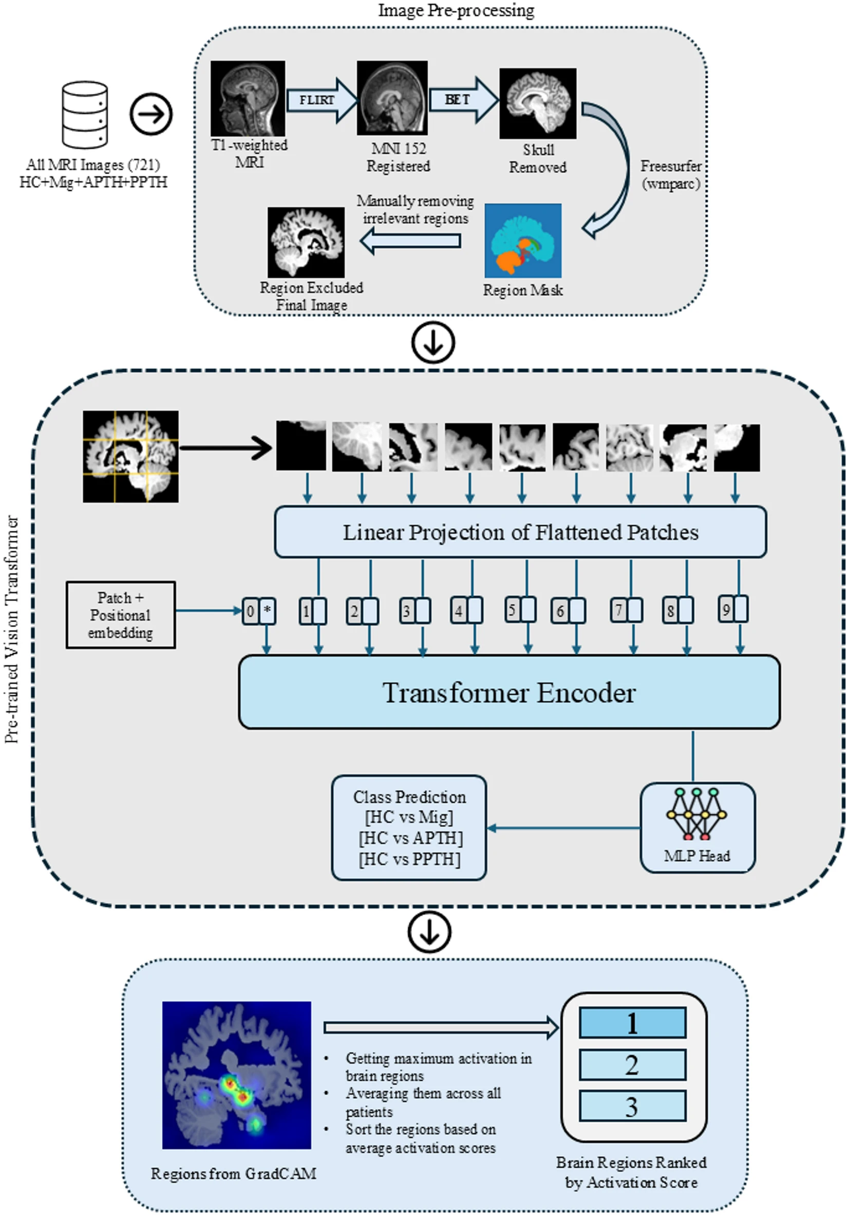 Leveraging multi-modal foundation model image encoders to enhance brain ...